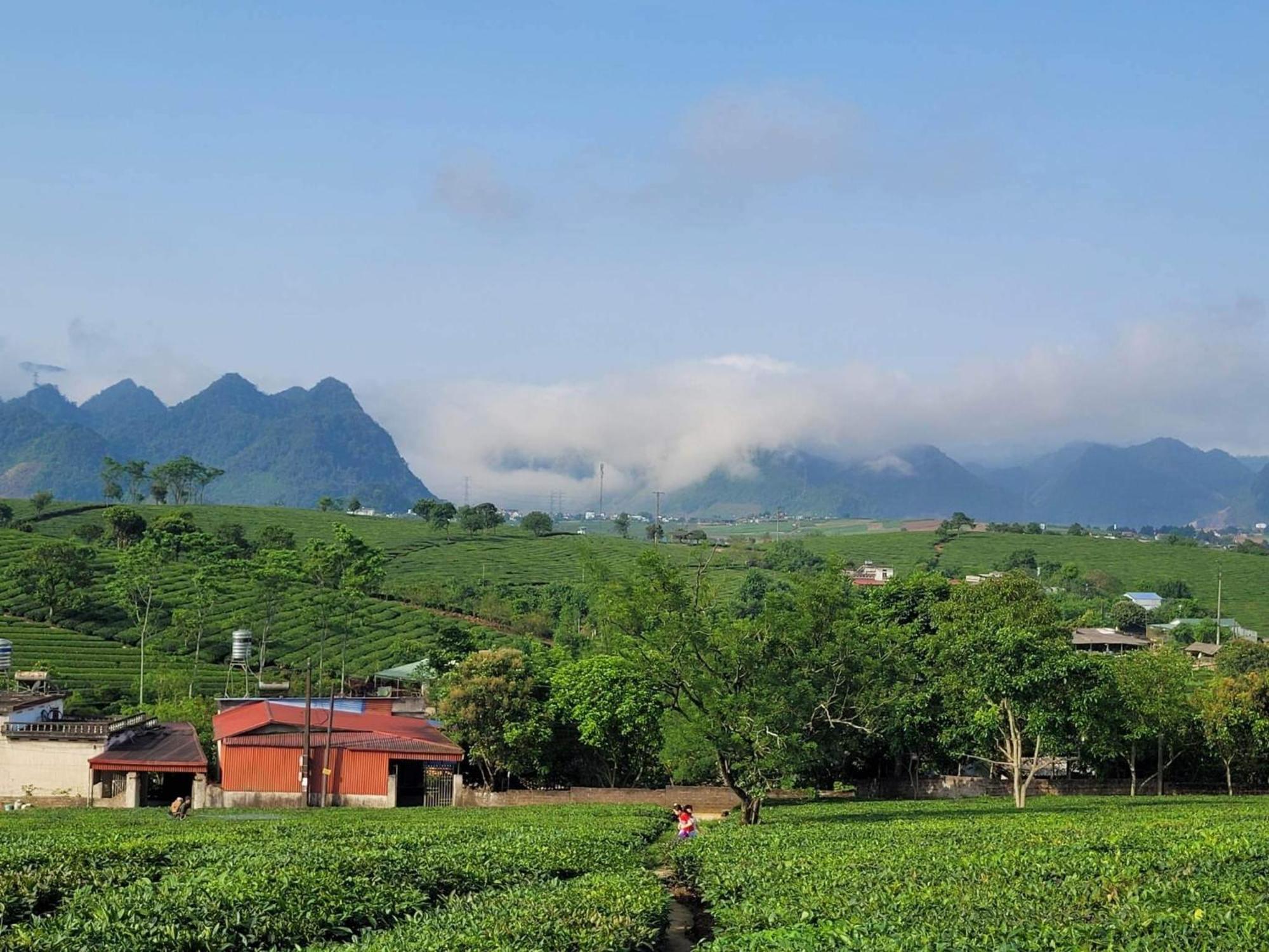 Mum Homestay Moc Chau Kültér fotó