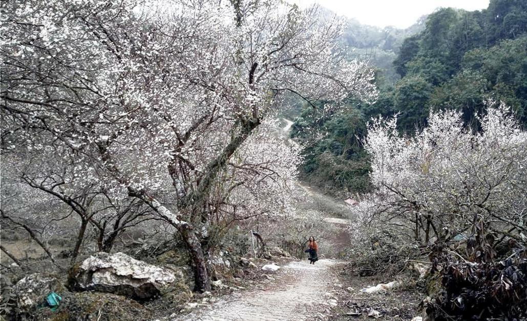 Mum Homestay Moc Chau Kültér fotó