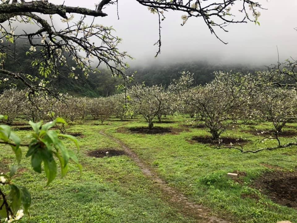 Mum Homestay Moc Chau Kültér fotó